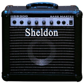 Amplificador De Contrabaixo Sheldon BSS300 30 W RMS Preto