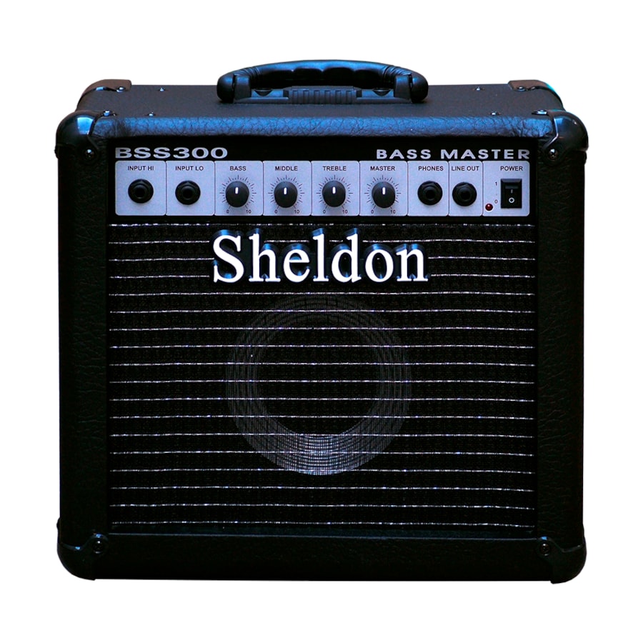 Amplificador De Contrabaixo Sheldon BSS300 30 W RMS Preto