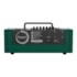 Amplificador De Guitarra Vosstorm SWAMP 23 100 Watts Verde 