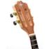 Cavaquinho Strinberg CS25E HBS Honey Burst Sunburst Eletroacustico C/ Bag