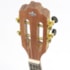 Cavaquinho Strinberg CS25E MGS Mahogany Satin Eletroacustico C/ Bag