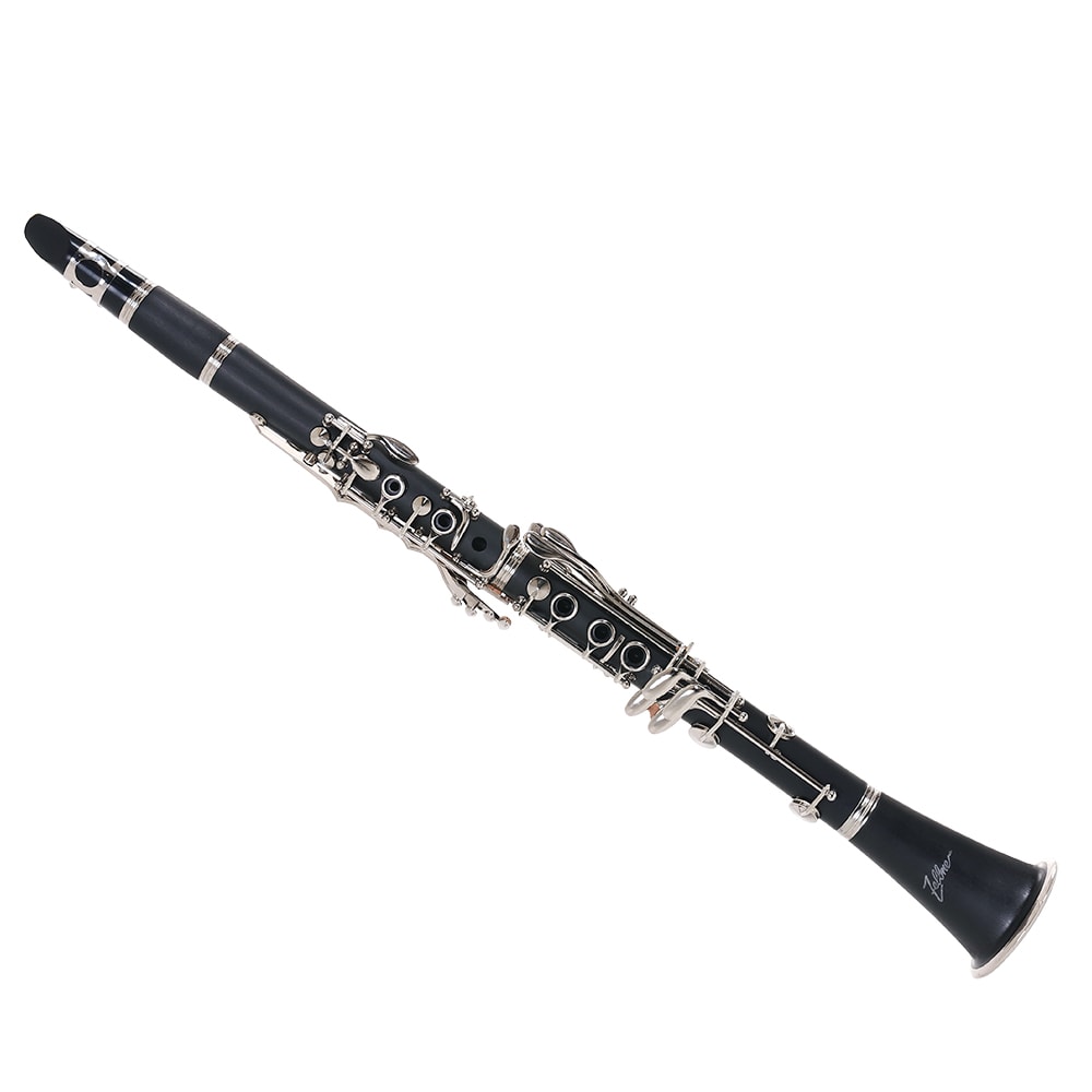 Saxofone Alto Zellmer ZAS600L Em Mi Bemol Laqueado C/ Case