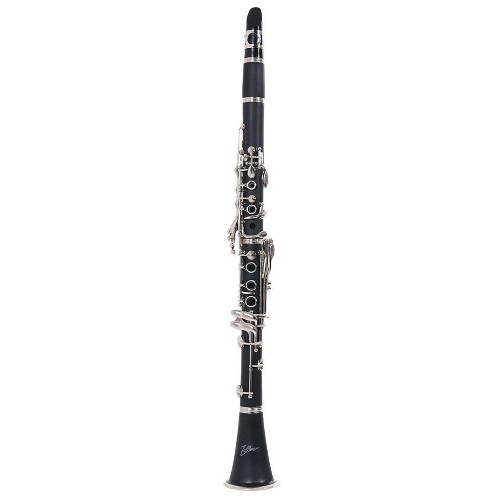 Saxofone Alto Zellmer ZAS600L Em Mi Bemol Laqueado C/ Case