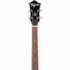 Contrabaixo Tagima Ekosonic GD Gold Semi Acústico Slim Passivo C/ Case