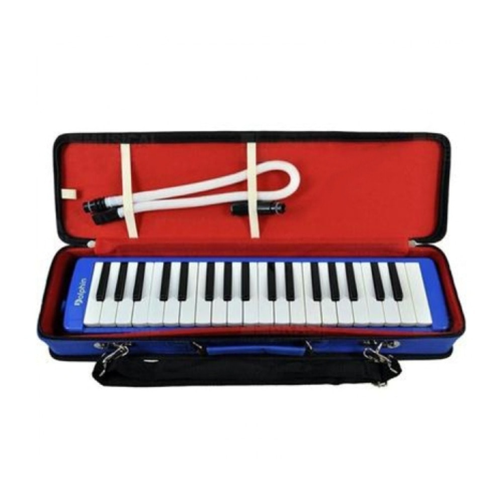 Escaleta Dolphin de 37 Teclas Azul