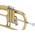 Flughelhorn Vivace VFG20 Em Bb Si Bemol C/ Estojo