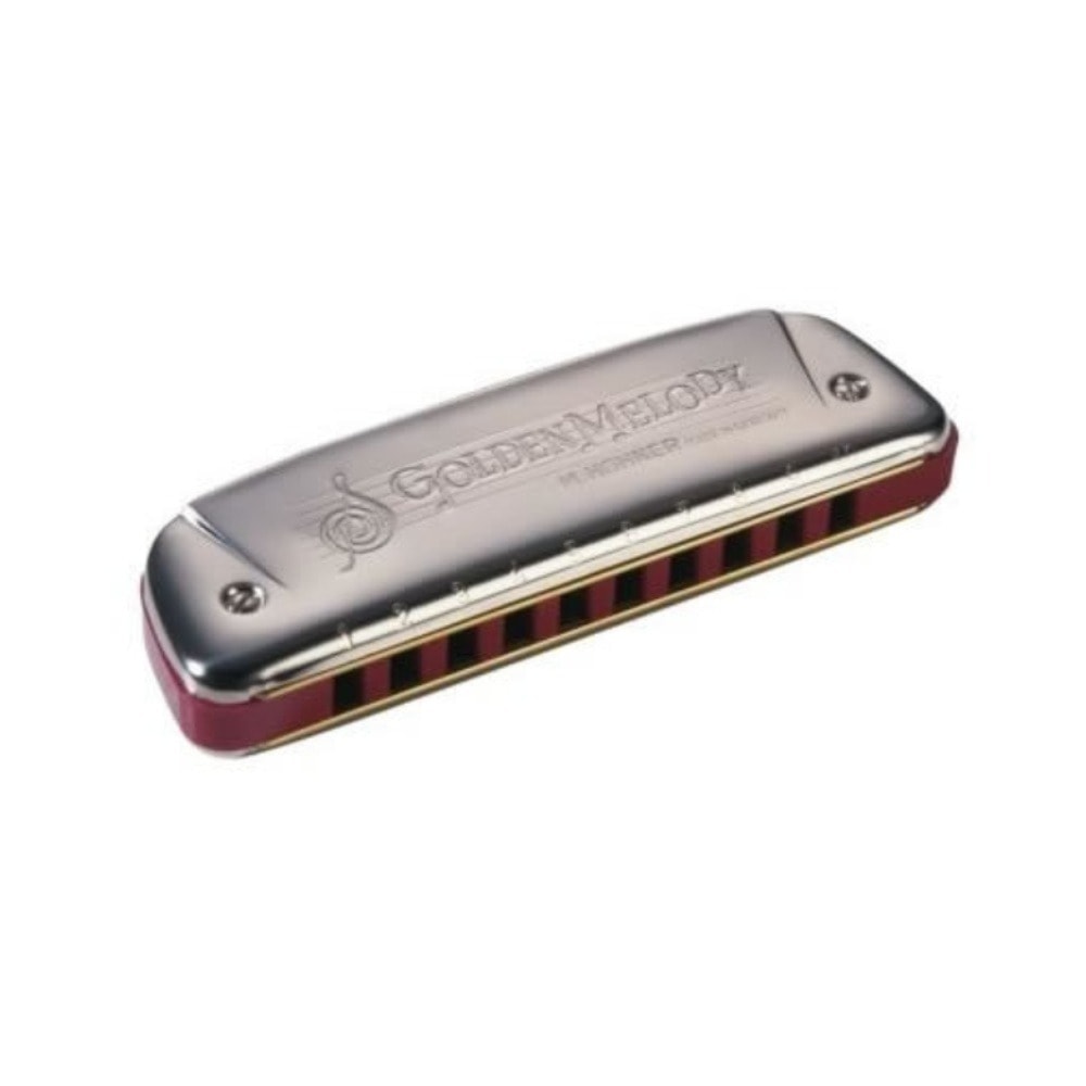 Gaita de Boca Hohner Golden Melody 542/20 em C Progressive Series