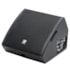 Monitor De Palco Ativo Staner  MS12X De 300 Watts