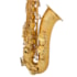 Sax Shelter Tenor Sí Bemol SGFT6435L Com Bag