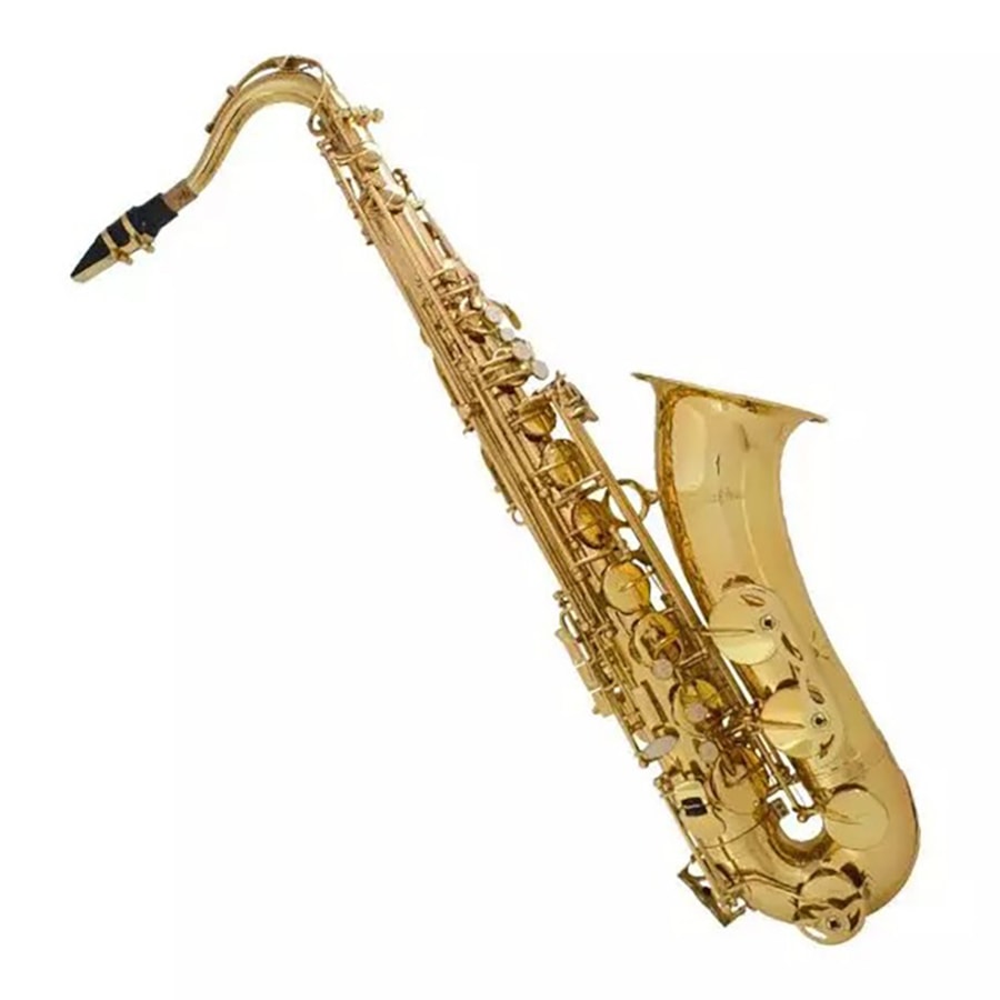 Sax Shelter Tenor Sí Bemol SGFT6435L Com Bag