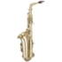 Saxofone Alto Eagle SA 501 Laqueado em E (Mí)  com Case Luxo Saxofone Alto Eagle SA 501 Laqueado em E (Mí)  com Case Luxo