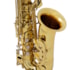 Saxofone Alto Vivace VAS101 Laqueado Em Eb Mi Bemool C/ Estojo
