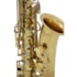 Saxofone Alto Vivace VAS201 Laqueado Em Eb Mi Bemol C/ Estojo