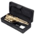 Saxofone Alto Vivace VAS201 Laqueado Em Eb Mi Bemol C/ Estojo