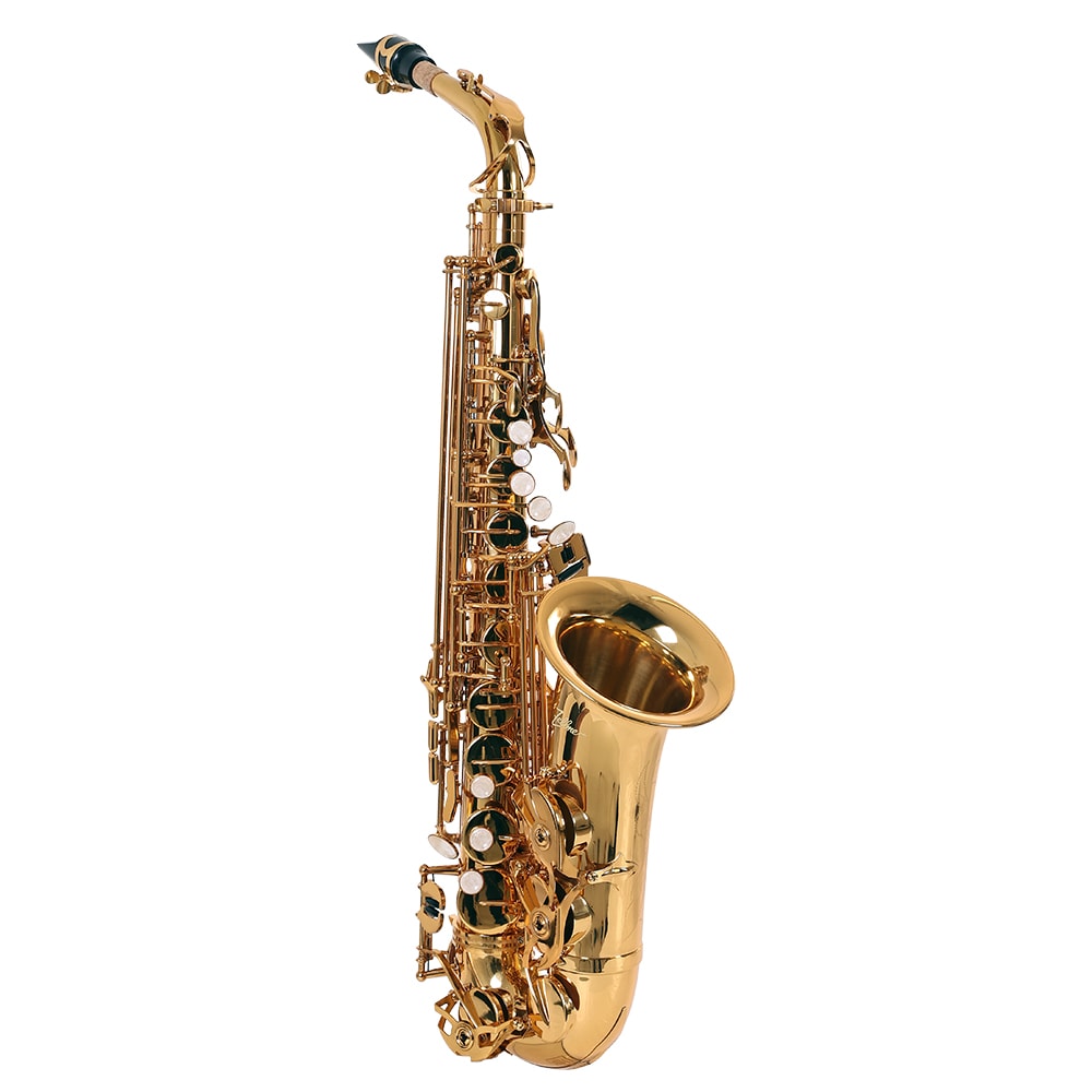 Saxofone Alto Zellmer ZAS600L Em Mi Bemol Laqueado C/ Case