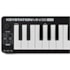 Teclado M-Audio Keystation Mini 32 MK3 Keystation MK3 Series Controlador de 32 Teclas Preto