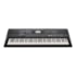 Teclado Yamaha PSR-EW410 de 76 Teclas c/ Fonte