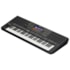 Teclado Yamaha PSR-SX720 Workstation de 61 Teclas Preto c/ Fonte  