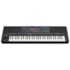 Teclado Yamaha PSR-SX920 Workstation de 61 Teclas Preto c/ Fonte  