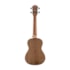 Ukulele Harmonics UK-20 NT Concerto Natural