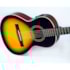 Viola Caipira Strinberg VE25E SB Sunburst Eletroacústica
