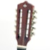 Viola Caipira Strinberg VS25E MGS Mahogany Satin Eletroacústica