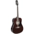 Violão Giannini GD-1 EQ TDW De Aço C/ Afinador Translucent Dark Wine