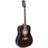 Violão Giannini GD-1 EQ TDW De Aço C/ Afinador Translucent Dark Wine Violão Giannini GD-1 EQ TDW De Aço C/ Afinador Translucent Dark Wine