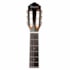 Violão Giannini Performance GNY Plus CEQ NG Natural Glossy Eletroacústico Nylon