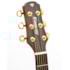 Violão Strinberg DD6SC NS Natural Satin Linha Diamond De Aço C/ Case