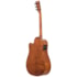 Violão Strinberg FS4D FOB Forest Ocean Burst Forest Series Eletroacústico 