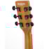 Violão Strinberg FS4D PDS Natural Padauk Satin Forest Series Eletroacústico De Aço