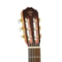 Violão Takamine GC6CE & TP-4T Natural