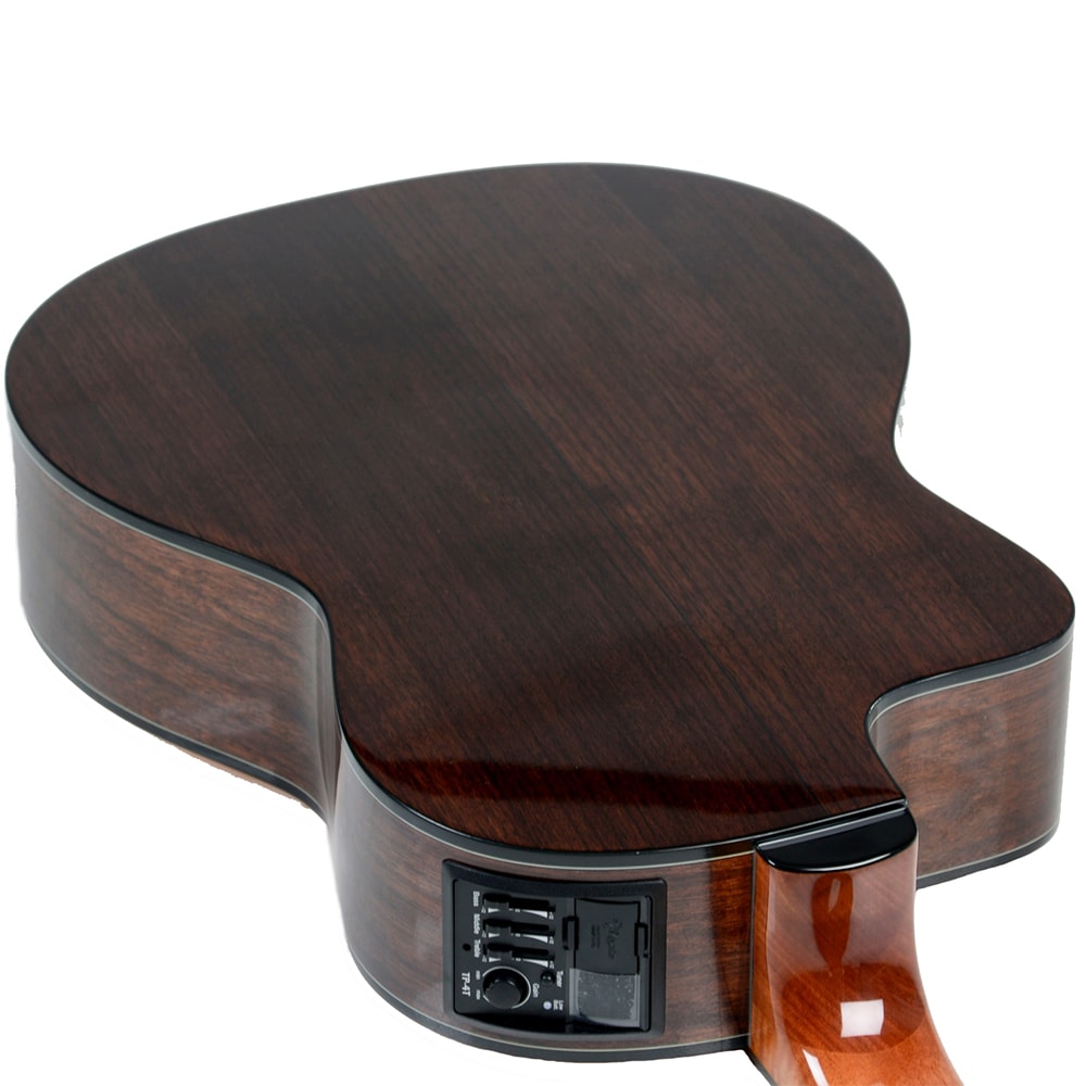 Coperchio Vano Batteria Takamine Per Preamplificatori Serie G – TK-40, TP-4T, TP-E