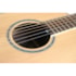 Violão Takamine GY51E NAT & TP-4TD Natural