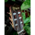 Violão Takamine Japonês P3FC NS Natural Satin Eletroacústico Nylon C/ Semi Case