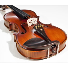 Violino Benson BVA702 NS 4/4 Linha Amati Crina Animal C/ Case