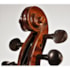 Violino Benson BVA702 NS 4/4 Linha Amati Crina Animal C/ Case