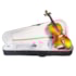 Violino Benson BVM 501 Satin Linha Maggini 3/4 Tampo Maciço com Case Violino Benson BVM 501 Satin Linha Maggini 3/4 Tampo Maciço com Case