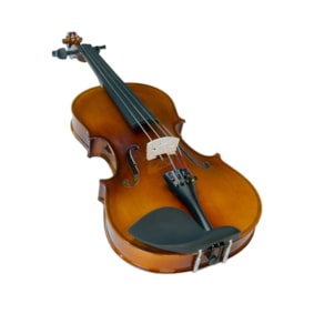 Violino Benson BVR301 4/4 Linha Ruggeri Crina Animal C/ Case