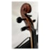 Violino Benson BVV2002 N 4/4 Linha Vuillaume Crina Animal C/ Case