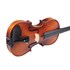 Violino Vivace Beethoven BE44S 4/4 Tampo Sólido com Case Luxo